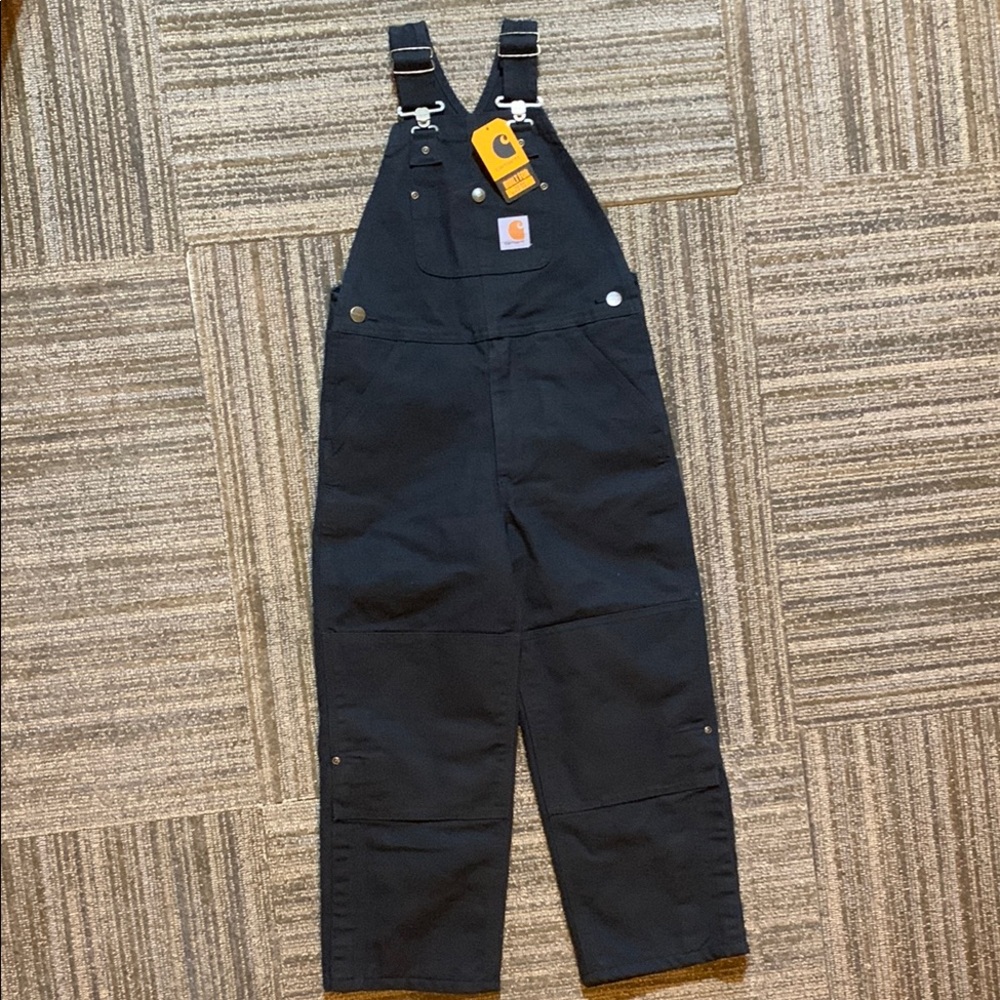 NWT Carhartt Duck Insulated Bib Overalls